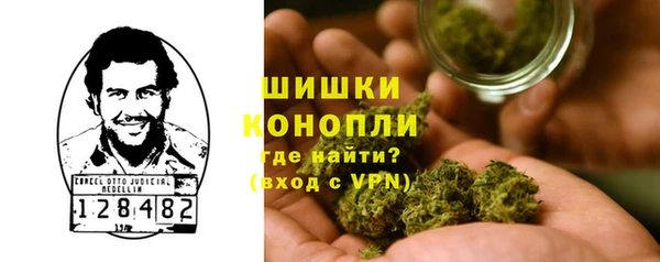ECSTASY Горняк