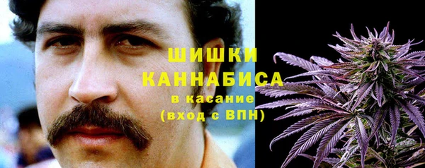 ECSTASY Горняк