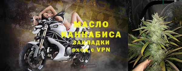 ECSTASY Горняк