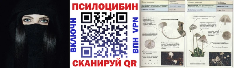 Галлюциногенные грибы мицелий  что такое   Томилино 